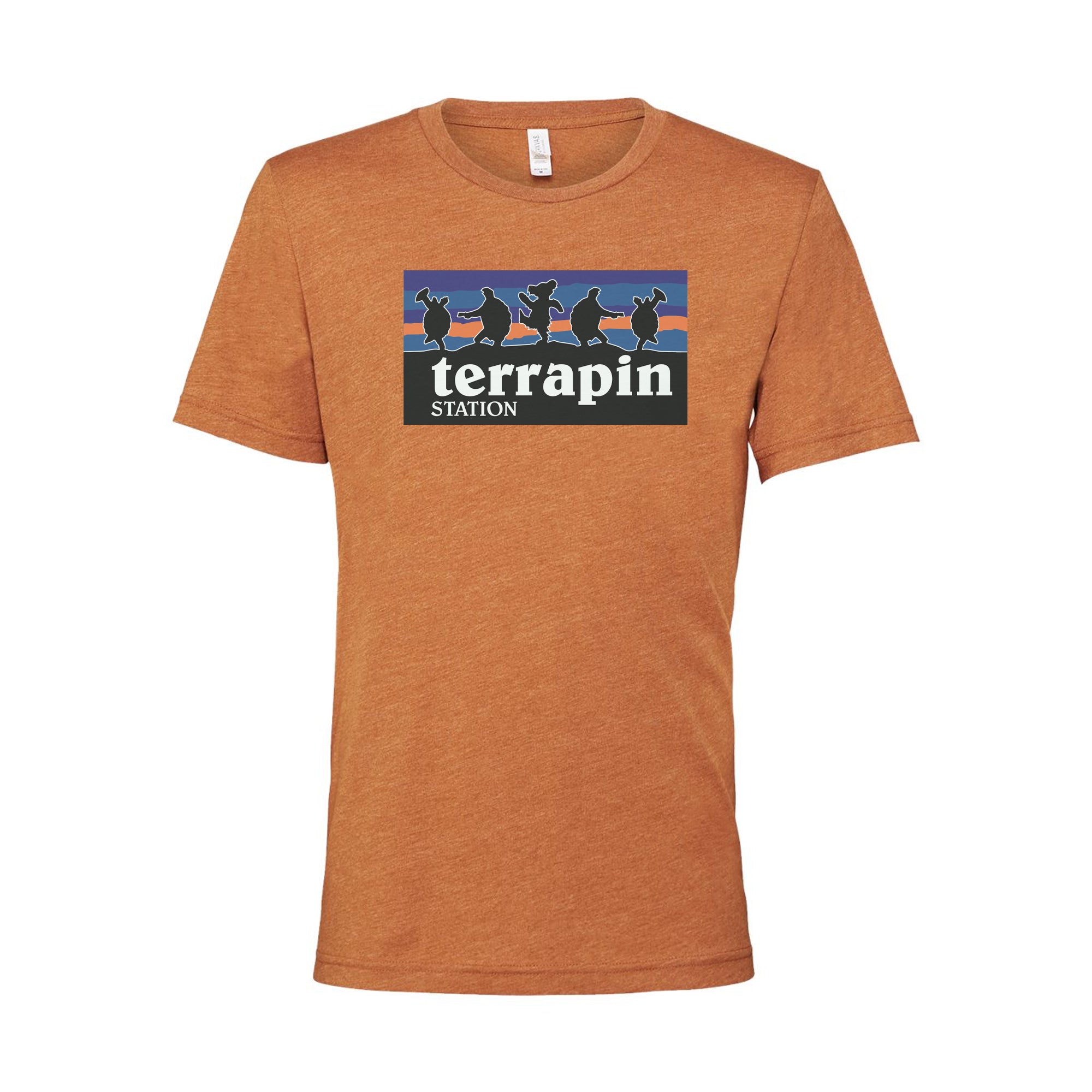Terrapin Station / Patagonia T-Shirt Heather Autumn / S